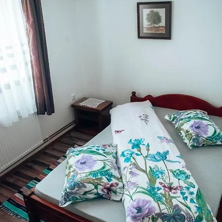 Casa Ianis Cabană