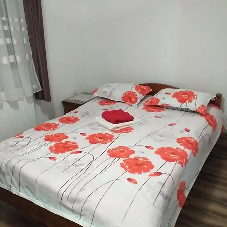 Casa Ianis Arieşeni
