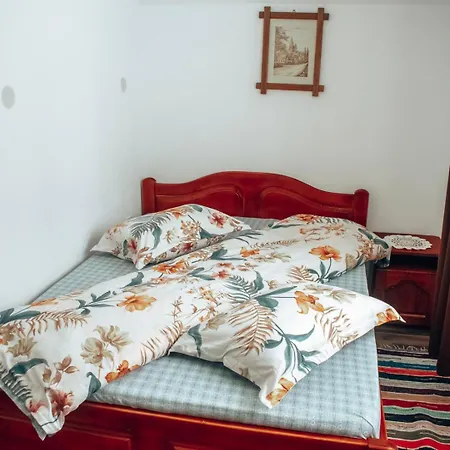 Casa Ianis Arieşeni